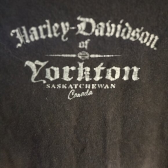HARLEY-DAVIDSON MENS TEE - Picture 4 of 4